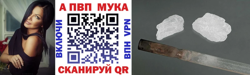 A PVP СК КРИС  Шенкурск 