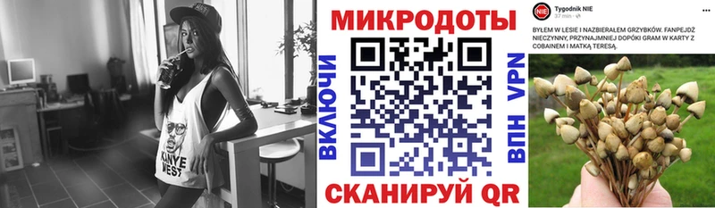 Галлюциногенные грибы Psilocybine cubensis  Шенкурск 