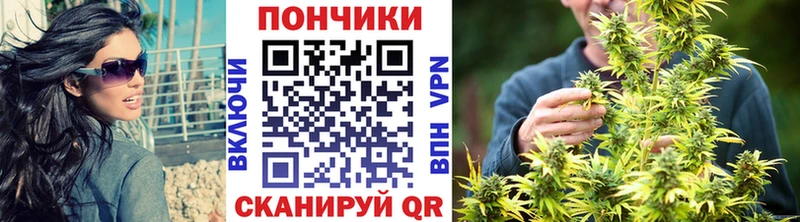 Каннабис Bruce Banner  мега ссылка  Шенкурск 